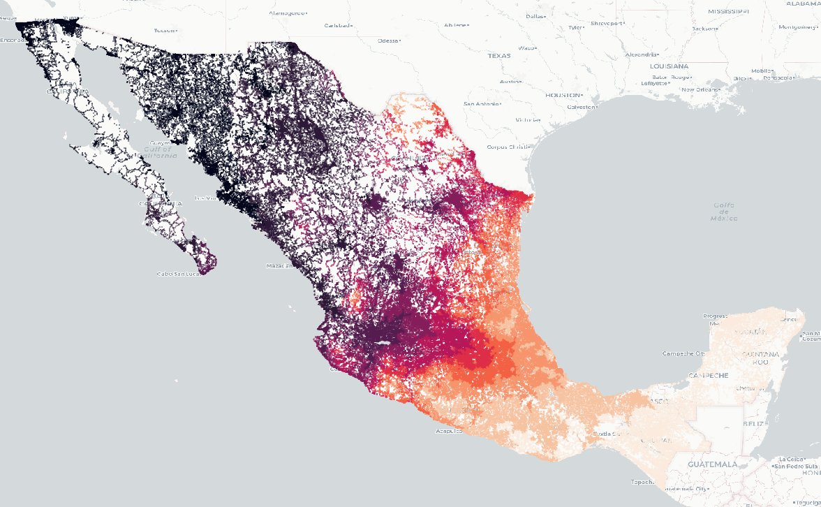 Irving MA tweet media