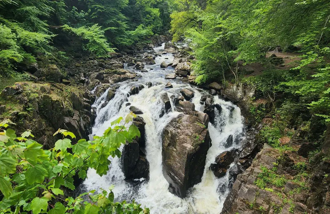 Mystic Scotland tweet media