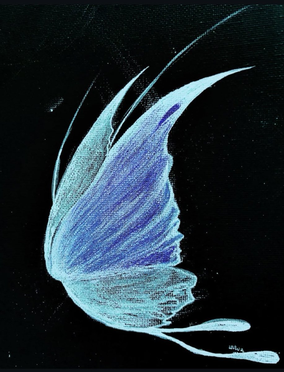 ショアキ誕生日との事で 過去の蝶イラスト キャンバスにホワイトペンと