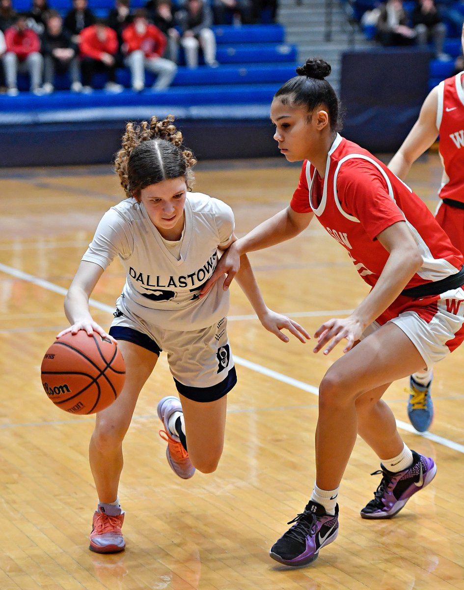 Dawn J. Sagert tweet media