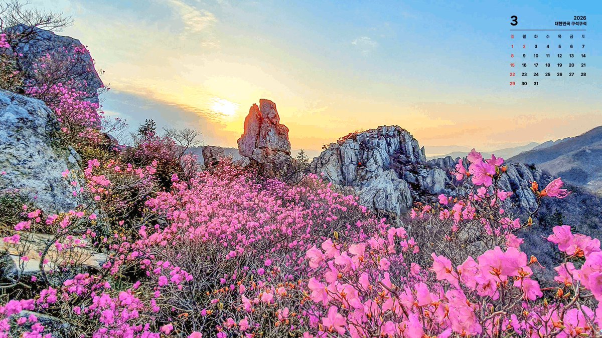 Kor_Visitkorea's tweet photo. 똑똑, 3월 월페이퍼 배달 왔습니다 💌

매달 기다려지는 대한민국 구석구석 pick 월페이퍼, 
3월에는 어떤 아름다운 장소들이 담겼을까요?

보는 것만으로도 힐링 되는 배경화면으로 3월의 시작을 함께해 보세요!

📷 사진 속 장소
1️⃣ (달력) 경남 거제 공곶이 (김정흠 사진작가)
2️⃣ (달력) 전남 강진 주작산 (김범용 사진작가)
3️⃣ 경기 포천아트밸리 (김지연 사진작가)
4️⃣ 경남 사천 삼천포대교 (김병찬 사진작가)

PC, 태블릿, 모바일 사이즈까지 완벽 준비!✨
아래 링크에서 더 다양한 관광명소 월페이퍼를 만나볼 수 있으니,
지금 바로 확인해 보세요:)
🔗 https://t.co/UQrkdx9wW3