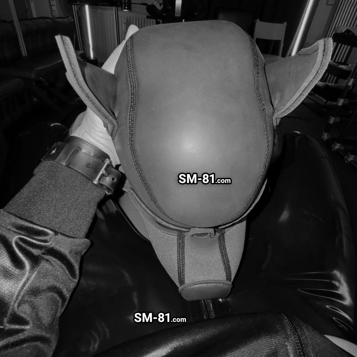 SM-81 tweet media