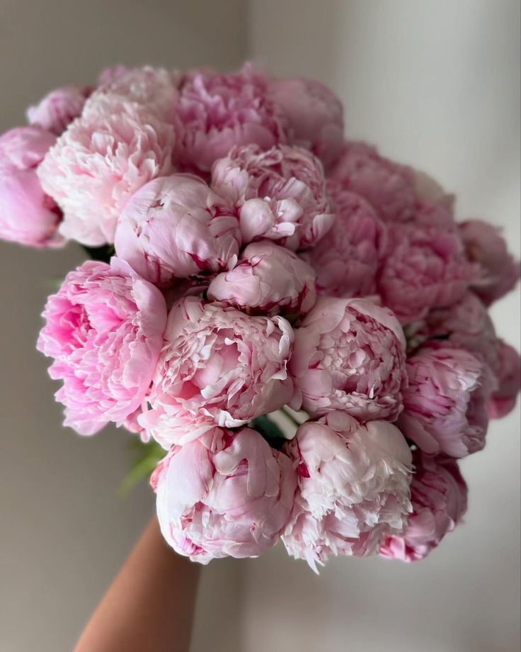 FLibrary70151's tweet photo. https://t.co/x6fMmvaNZY
