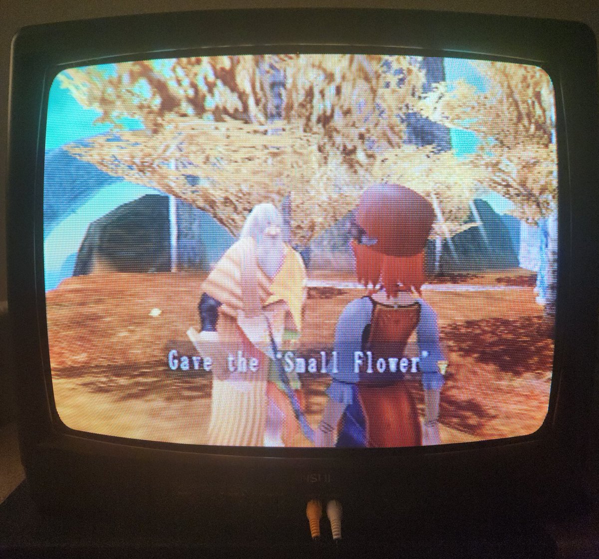 Hilltop 🍉 tweet media