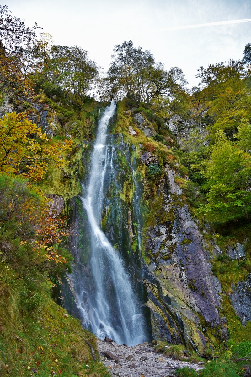 noeliaSolla's tweet photo. #Asturias, Patria querida,
Asturias de mis amores;
¡quién estuviera en Asturias
en todas las ocasiones! 💚

#FelizViernes 😀
📸Tabayón del Mongallu https://t.co/9H7bVRavl9
