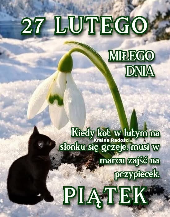 Witam wszystkich serdecznie w ten piękny piątkowy poranek, życząc miłego, radosnego, szczęśliwego dnia 🤗☀️😋☕🍰😍🎶🌷🌹