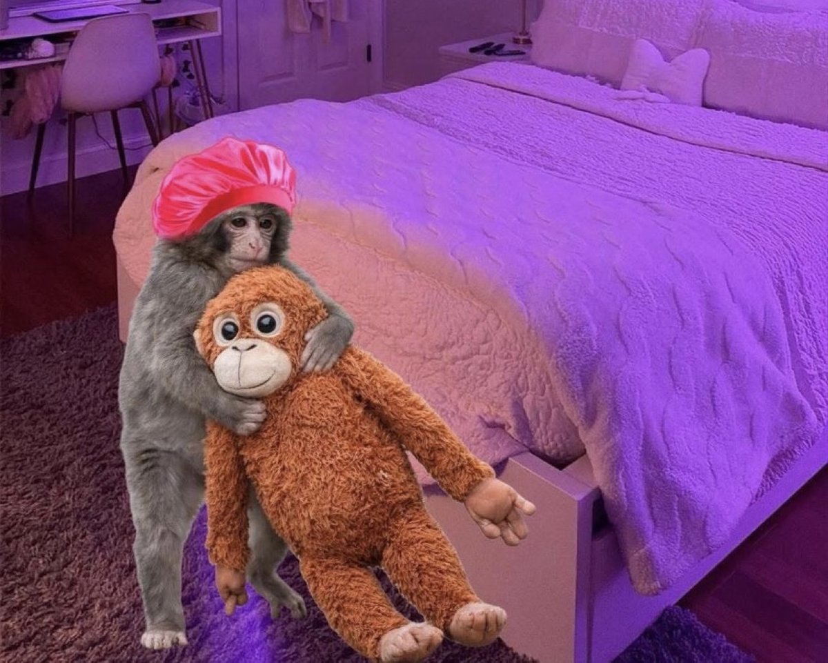Guarromantico_'s tweet photo. Yo yéndome a la cama con mi peluche a mi edad avanzada. https://t.co/UV6PhH6asp