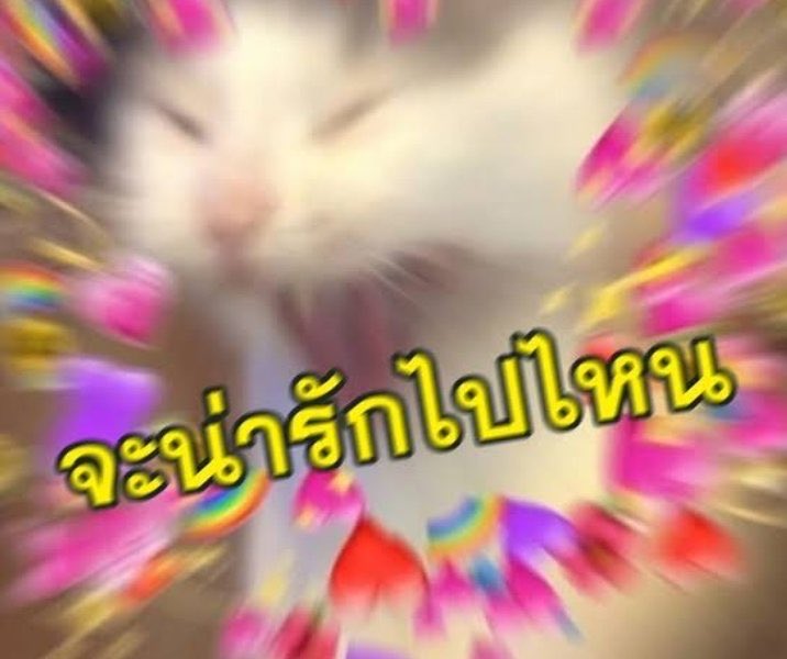 ᴏᴍ-ᴀᴍ ⋆.˚ tweet media