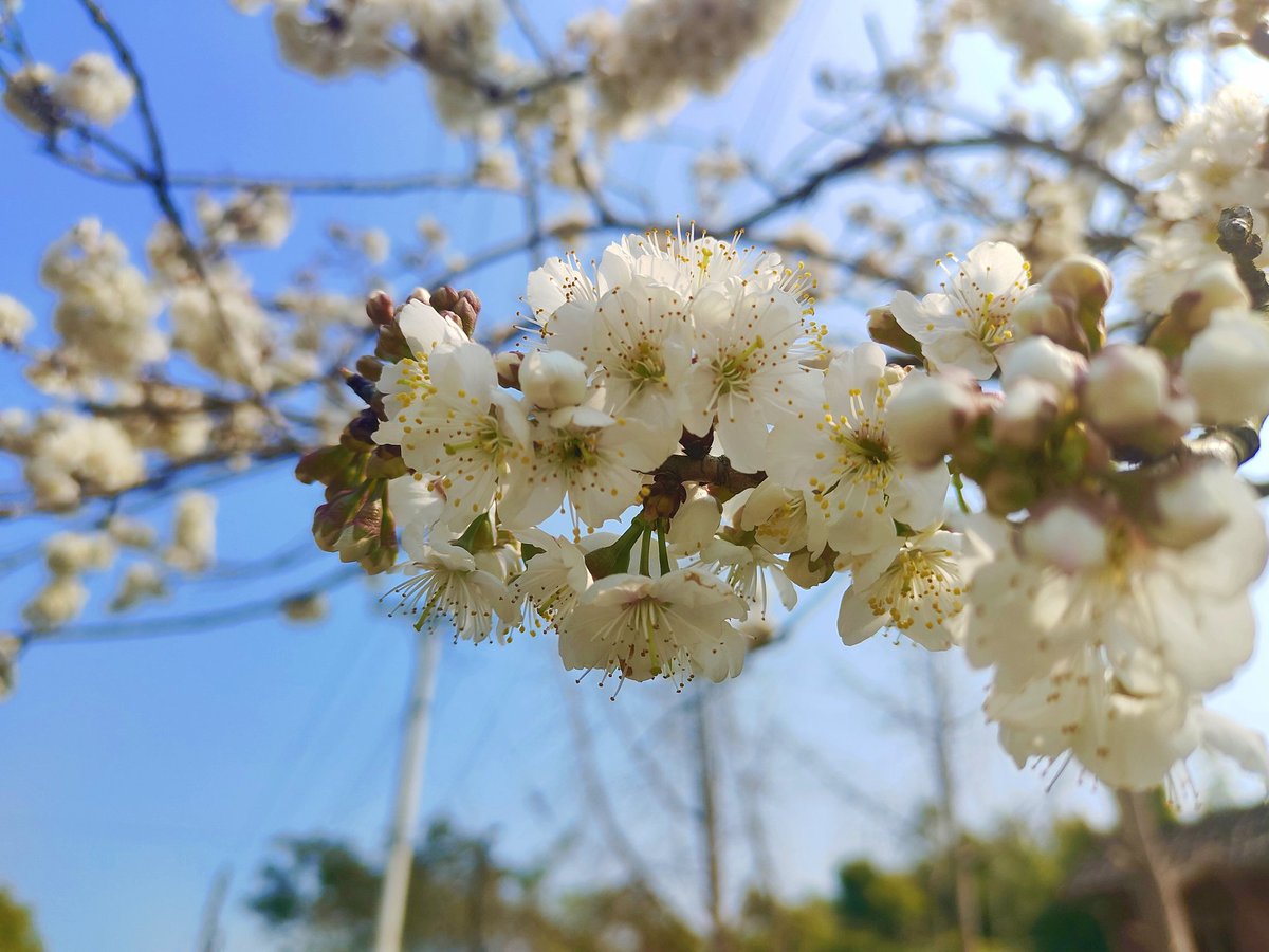 塗山 ☧ tweet media