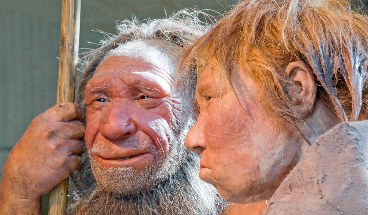 The Washington Times tweet media