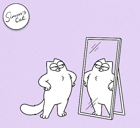 Simon's Cat Token tweet media