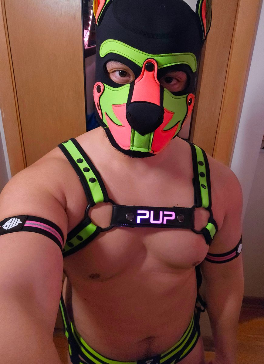 Nelly 🍉 tweet media