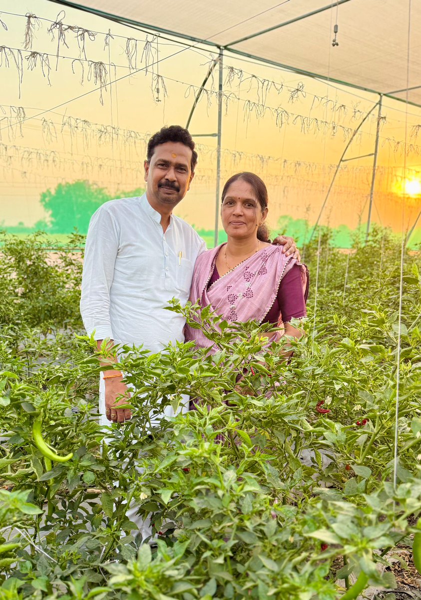 SingarSarika's tweet photo. #शेतकरी_brand🌱😎💪 #chilyfarming🧑‍🌾🧺🌶️ https://t.co/00cpowyA6Z