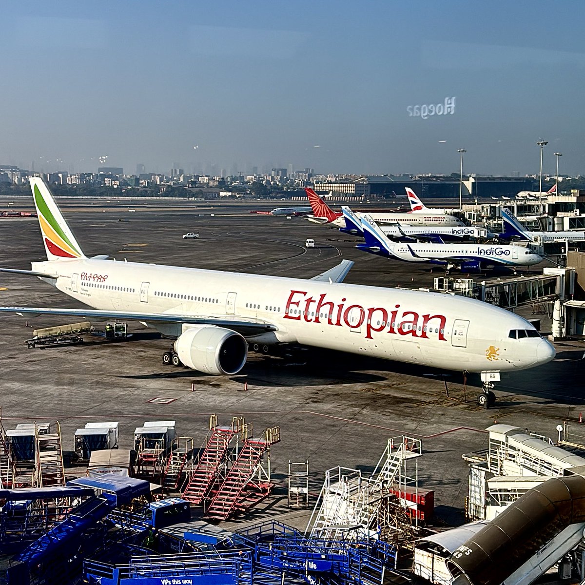 Trinidade Gois tweet media