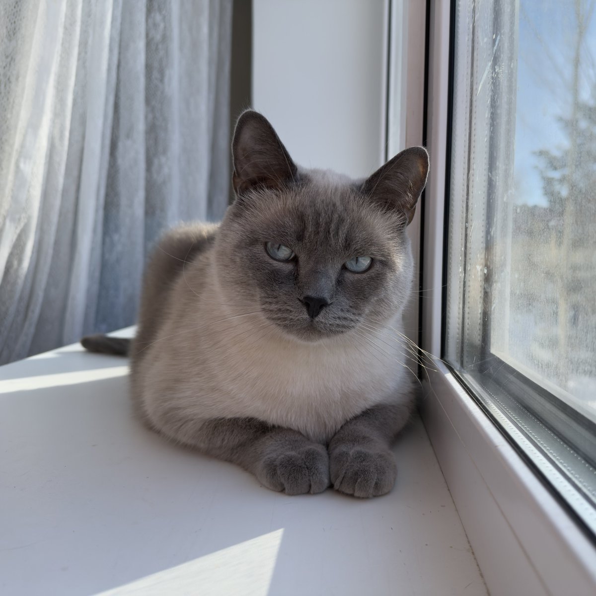 Владимир tweet media