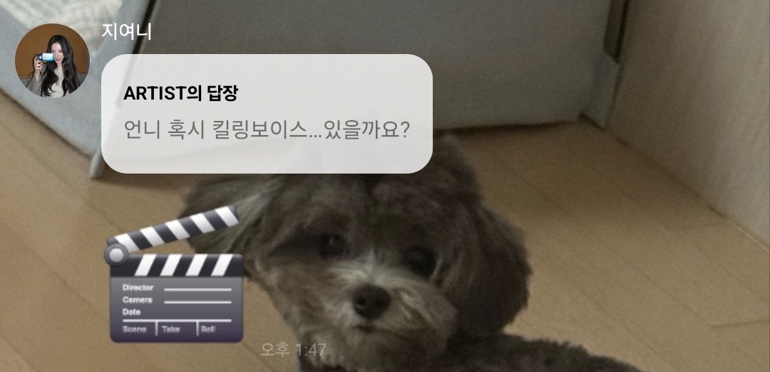 kimbully0819's tweet photo. : unnie, by any chance will there be... Killing Voice?
🐰: 🎬
(t/n: filming? 🤔)

: by any chance, the other grey outfit that you posted on Weibo, is that Killing Voice's outfit?!
🐰:🤔🤔🤔🤔🤔

capture credit: gugu_0526 https://t.co/oE3RcP4kQG