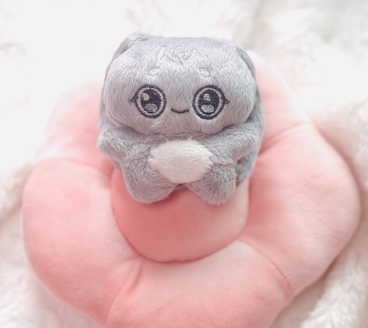 릴리피피🎀 tweet media