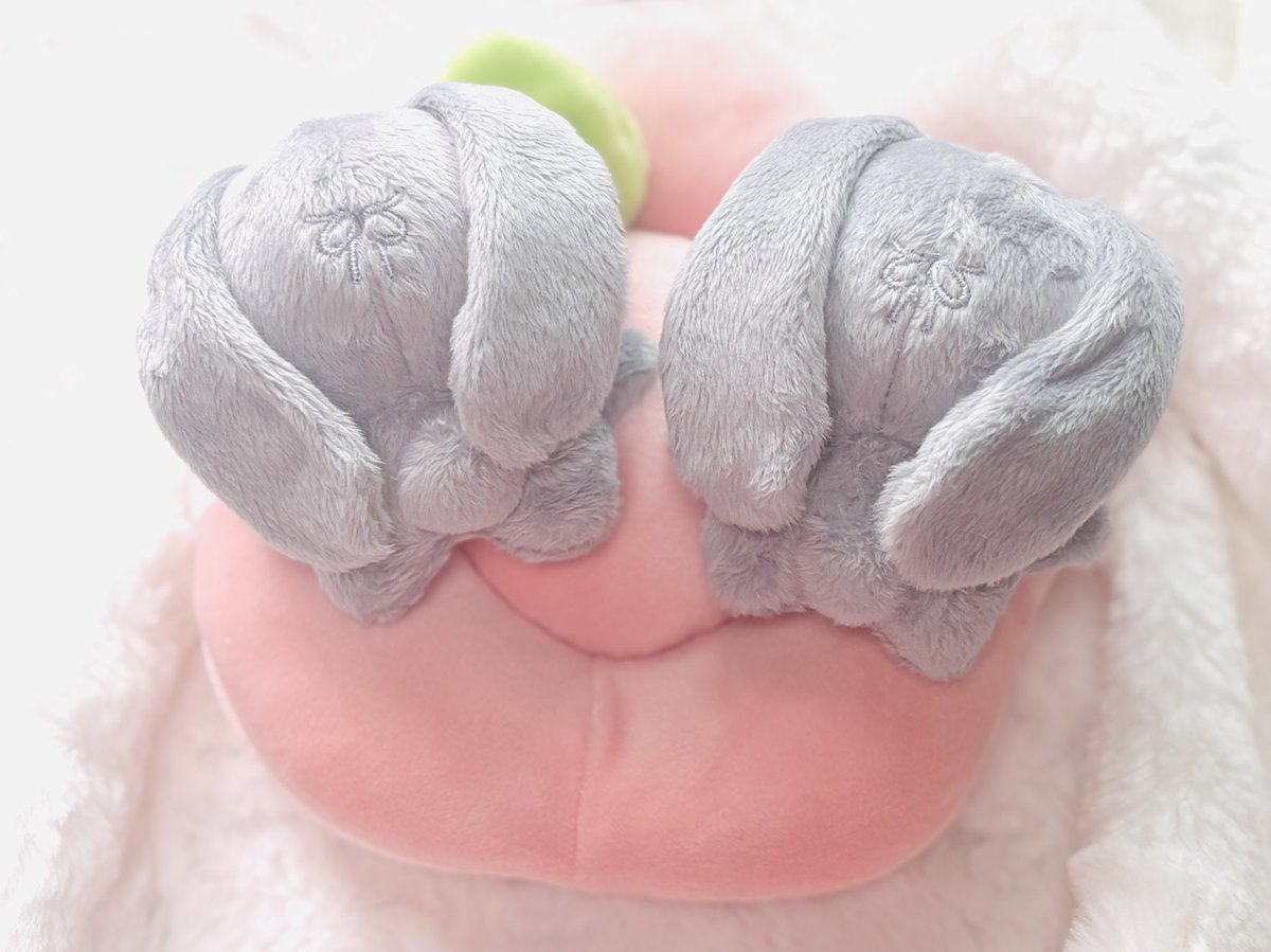 릴리피피🎀 tweet media