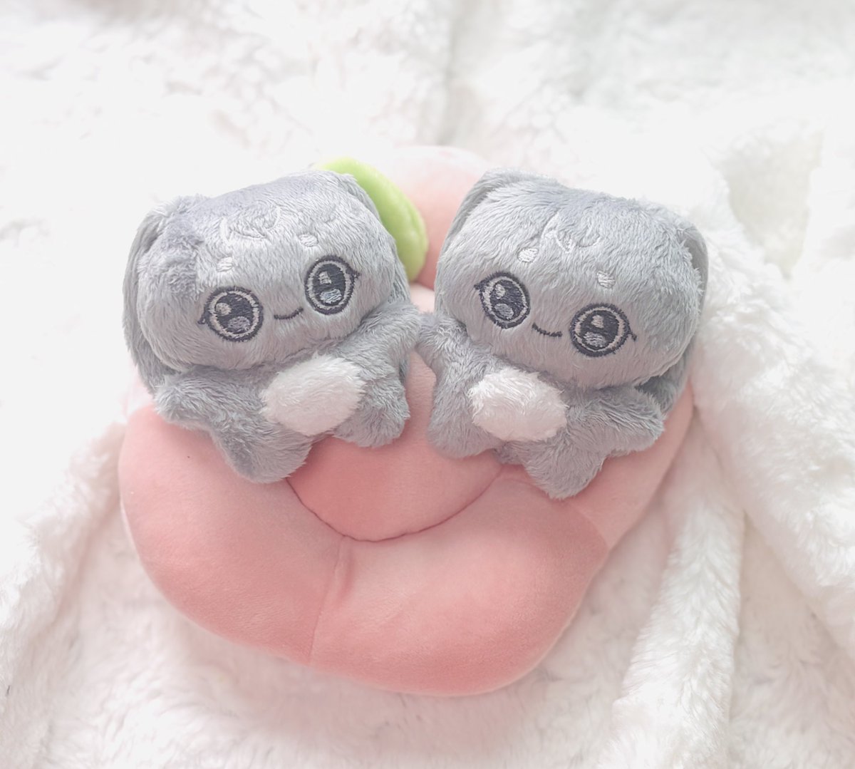 릴리피피🎀 tweet media