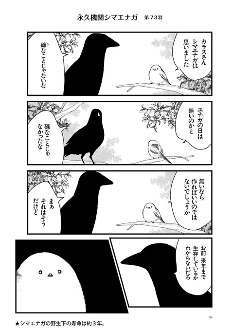 ◥◣永久機関シマエナガ◢◤
-シマエナガとカラスさんー
✨✨✨ごはいめっ!✨✨✨
好評発売中エナガ(・▴・)💖

◆シーズン1◆
リバイバル配信中‼
#永久機関シマエナガ 