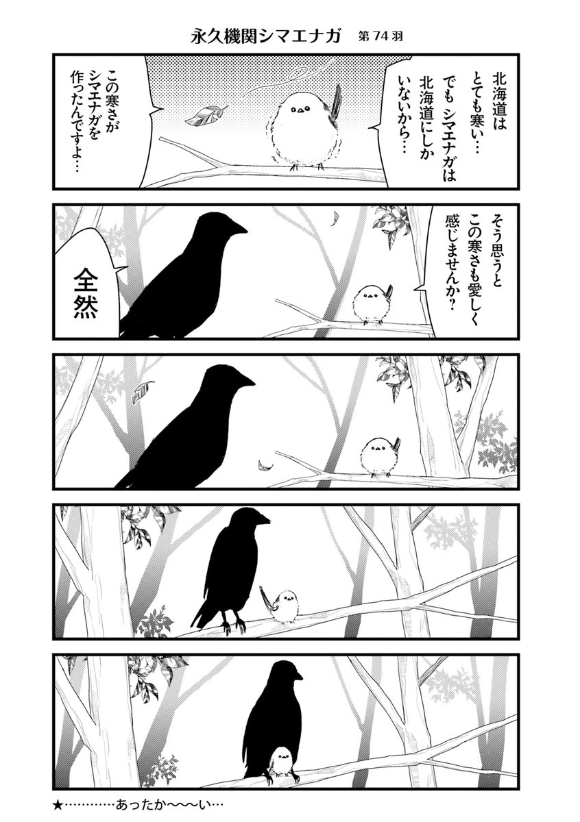 【永久機関シマエナガ】シマエナガとカラスさん公式 tweet media