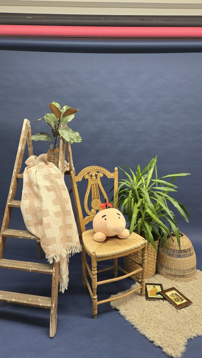 二匹の羊 tweet media