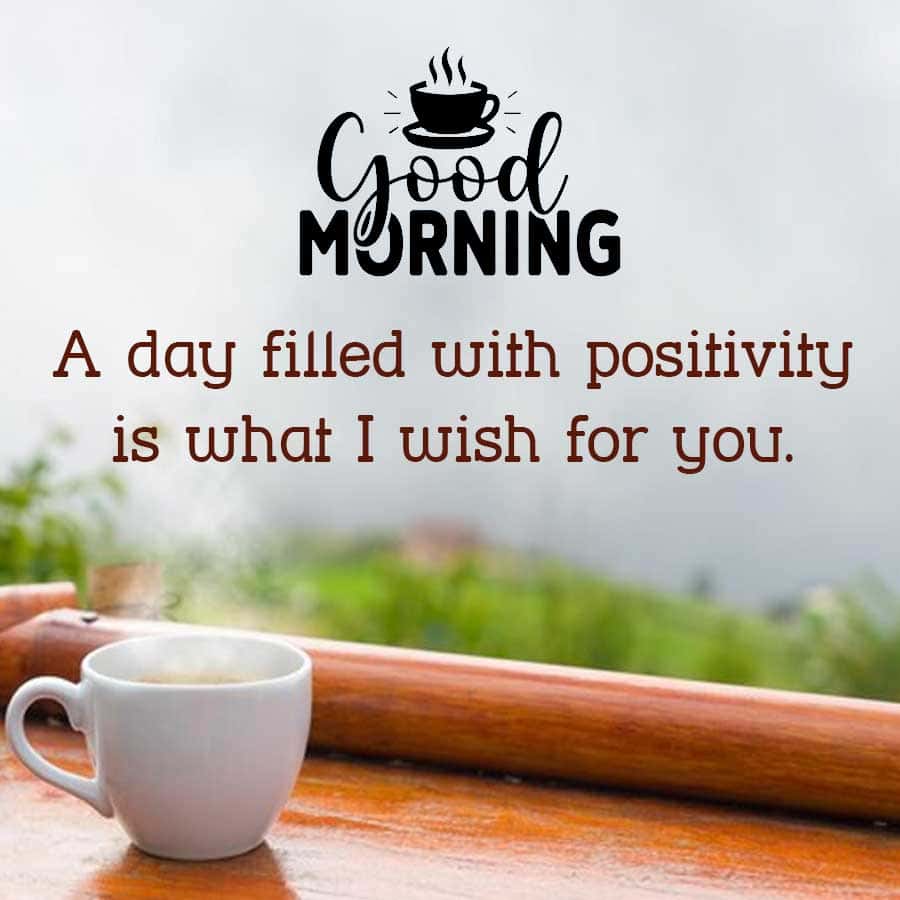 Good Morning 🌞 X family 

It's a beautiful day!