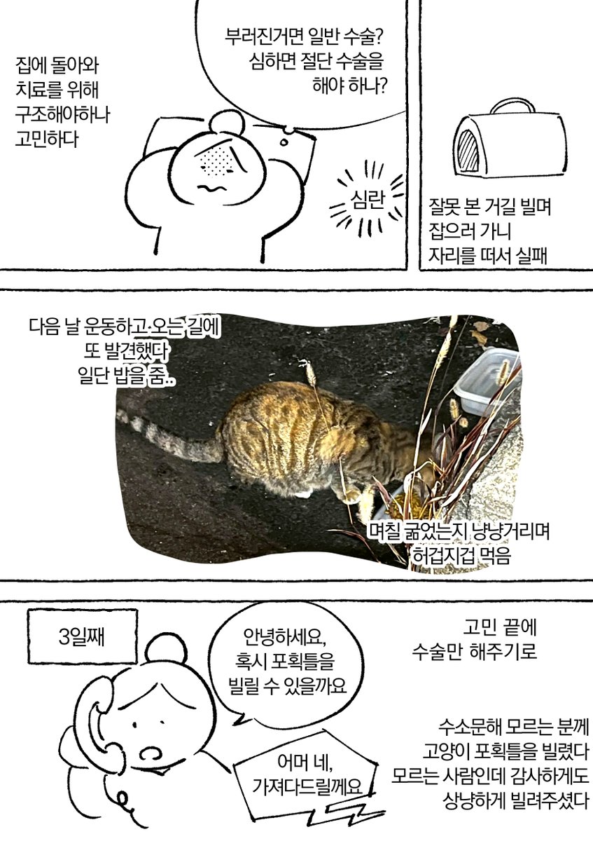 bakedguma1's tweet photo. 길에서 고함지르는 고양이 줍는 만화 (4/10) https://t.co/8RaXFSfI3M