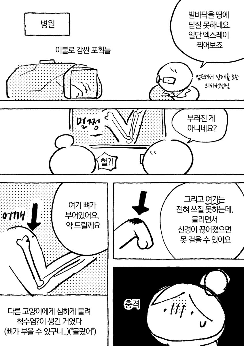 bakedguma1's tweet photo. 길에서 고함지르는 고양이 줍는 만화 (4/10) https://t.co/8RaXFSfI3M