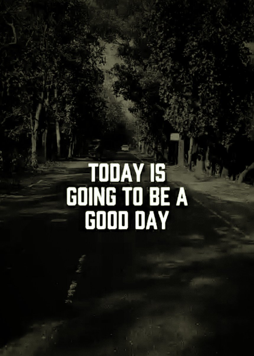 Xen Vibe tweet media