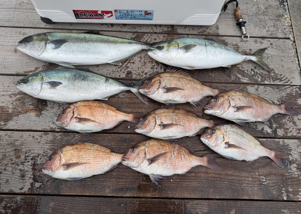16HIT10キャッチ6バラシ
水面まで上げて何故ブリをバラしてしまったのか。
獲れてたら完璧でした😂
