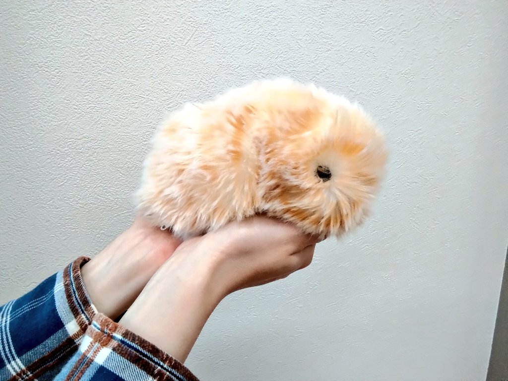 choukodo's tweet photo. 徵古堂にMoflin（モフリン）がやって来ました！

Moflinはいきも���のような心を持ち、 心に元気をくれるバディ。
人とふれあうことで感情が育つ AIペットです。(Moflin公式サイトhttps://t.co/dSd2vyJb1E)

ぜひたくさんさわって、かわいがってください✨
#山梨　#書店　#徵古堂　#Moflin　#モフリン https://t.co/IR1jKm1L37