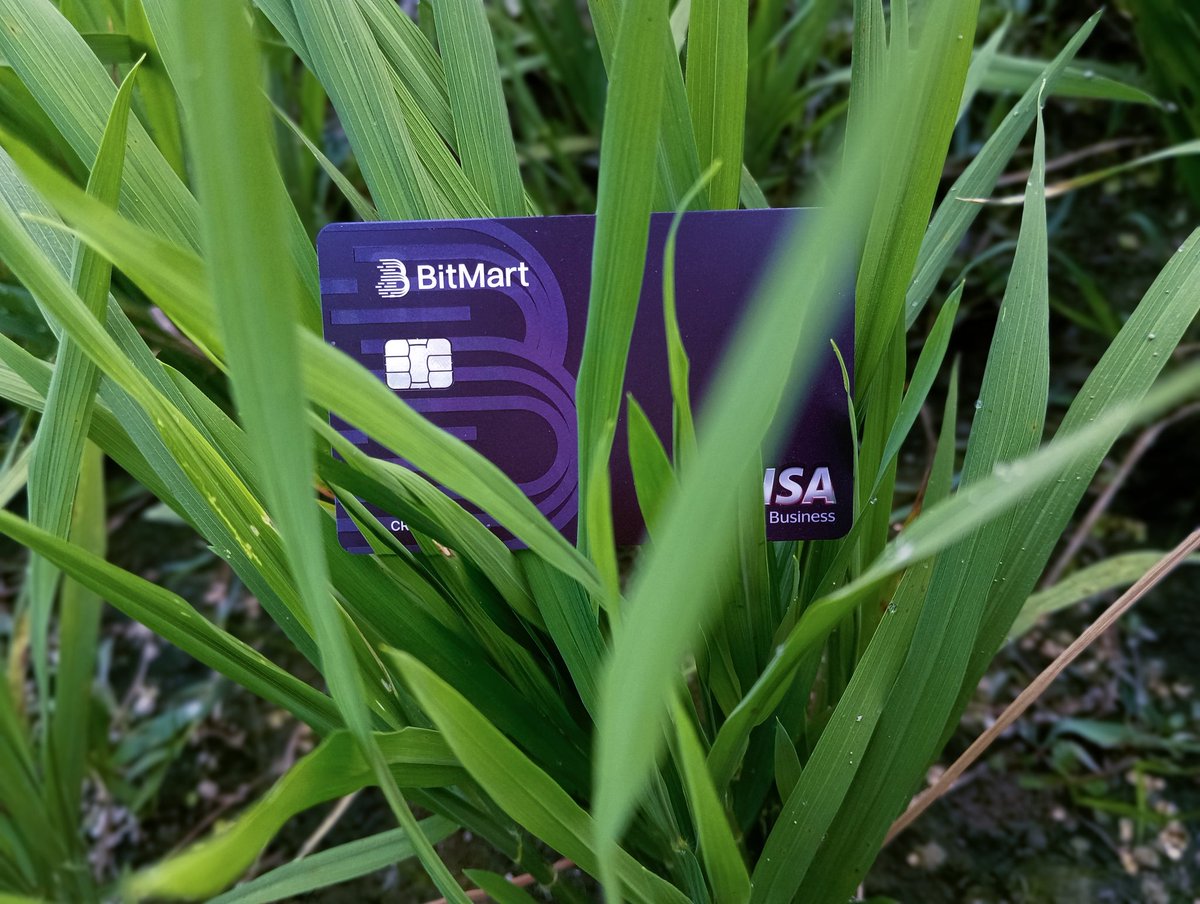 Web3 Ξlevate  🛡️ tweet media