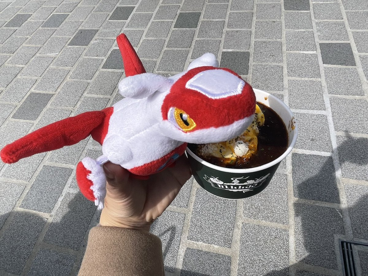 ラティアス引き連れて初ポケパーク行ってきたーーー！