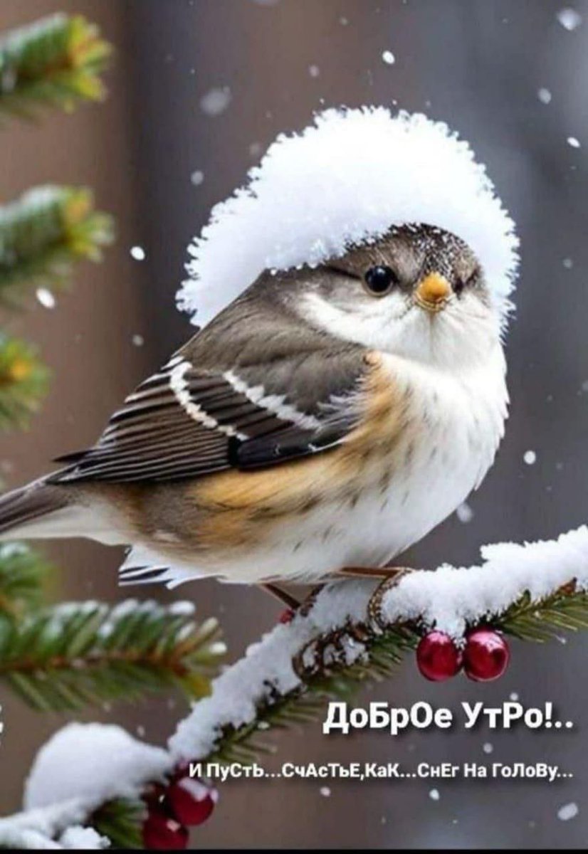 Доброго,  оптимистичного утра, человеки!