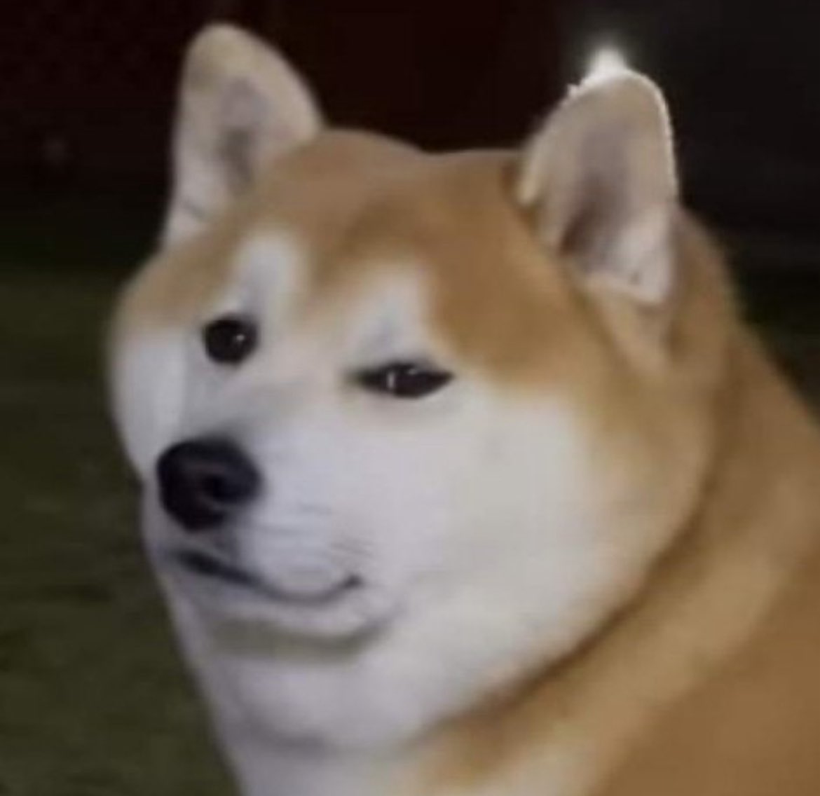 > Trump gets elected
> Forces sale of Paramount
> Forces sale of TikTok
> Rigs the sale of Warner Bros
> The buyer is literally Netanyahu’s best friend