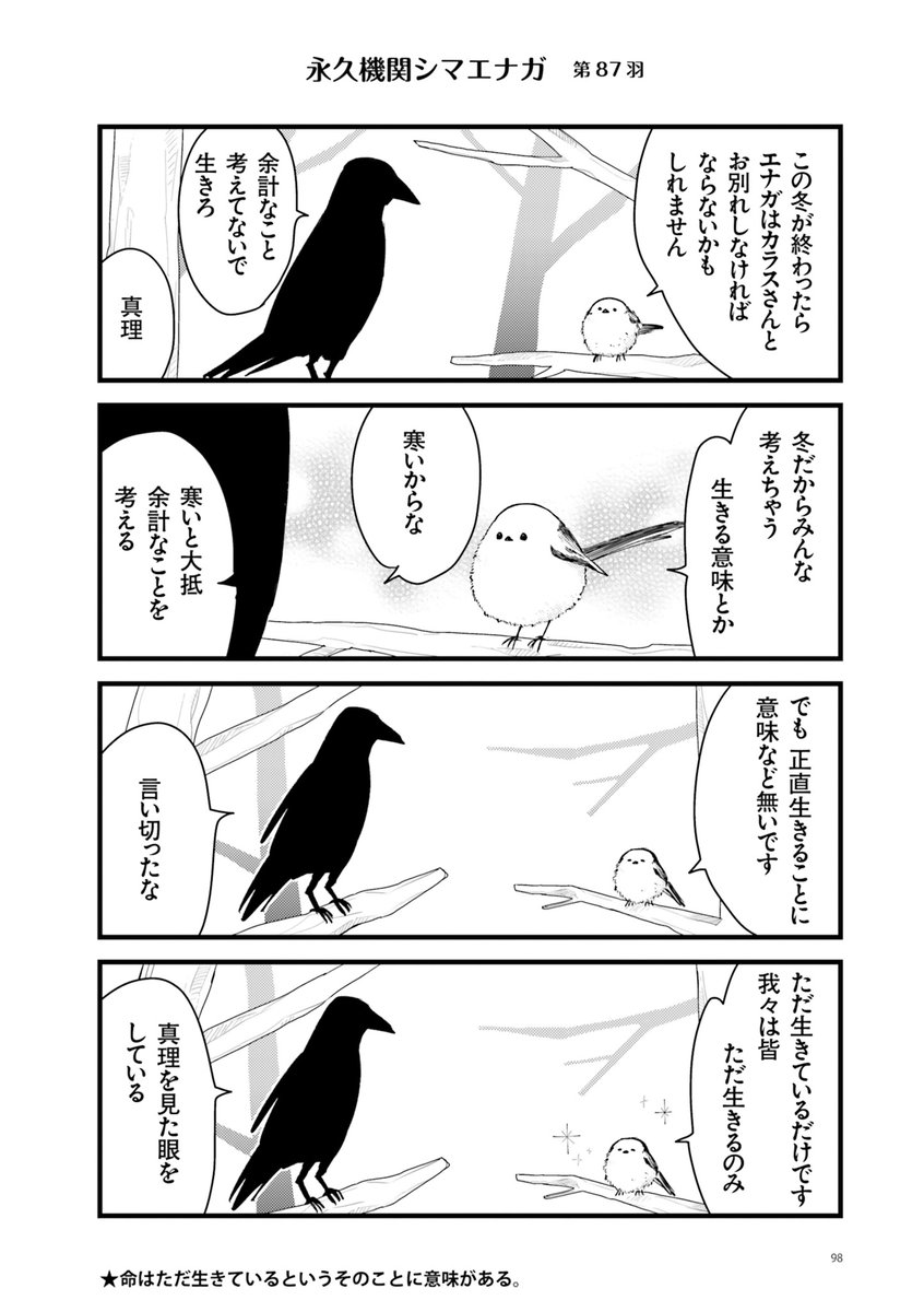 【永久機関シマエナガ】シマエナガとカラスさん公式 tweet media