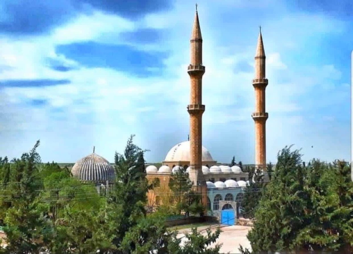 Allah’ın (cc) rahmeti, mağfireti ve bereketi üzerine olsun. Rabbim günümüzü hayırlara vesile eylesin, Cumamız mübarek olsun.
#GÜLPEVARİ 
#LolıkHemedıZerıKöyü
<a href="/STahirKosar/">Serkan Tahir KOŞAR</a> 
<a href="/VeyselKosar2182/">Veysel Kosar21</a>