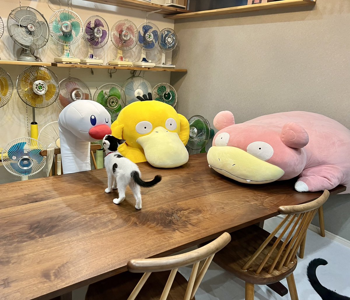 ポケモン30周年おめでとうございます🎉 ポケモン、大好きだー