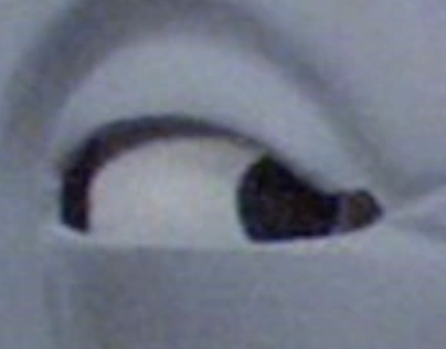 The Max Man tweet media