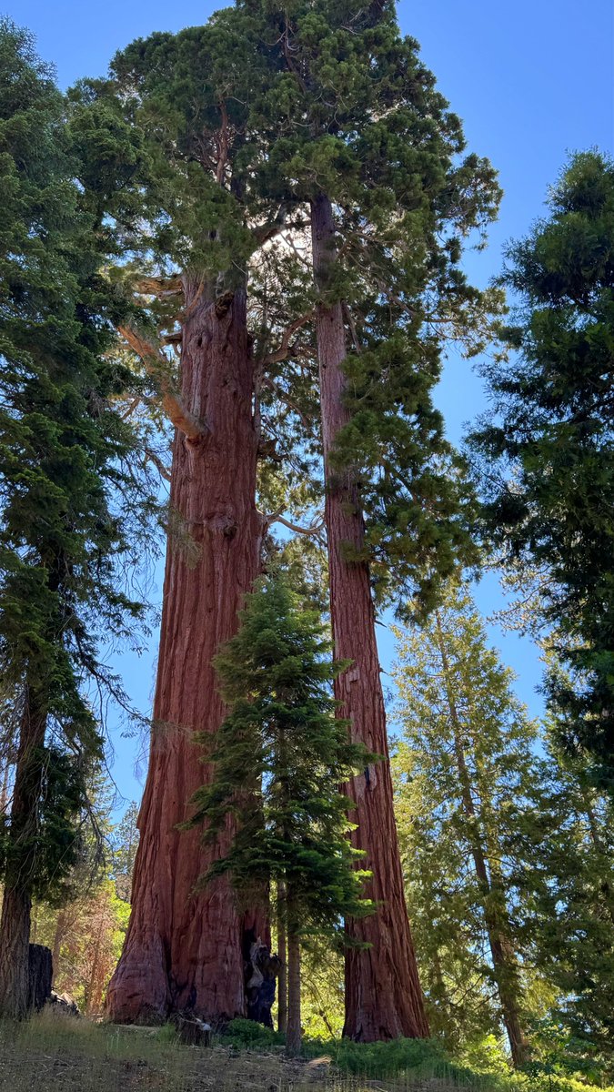 Sandytoes2211ᴺᶠᵀ tweet media