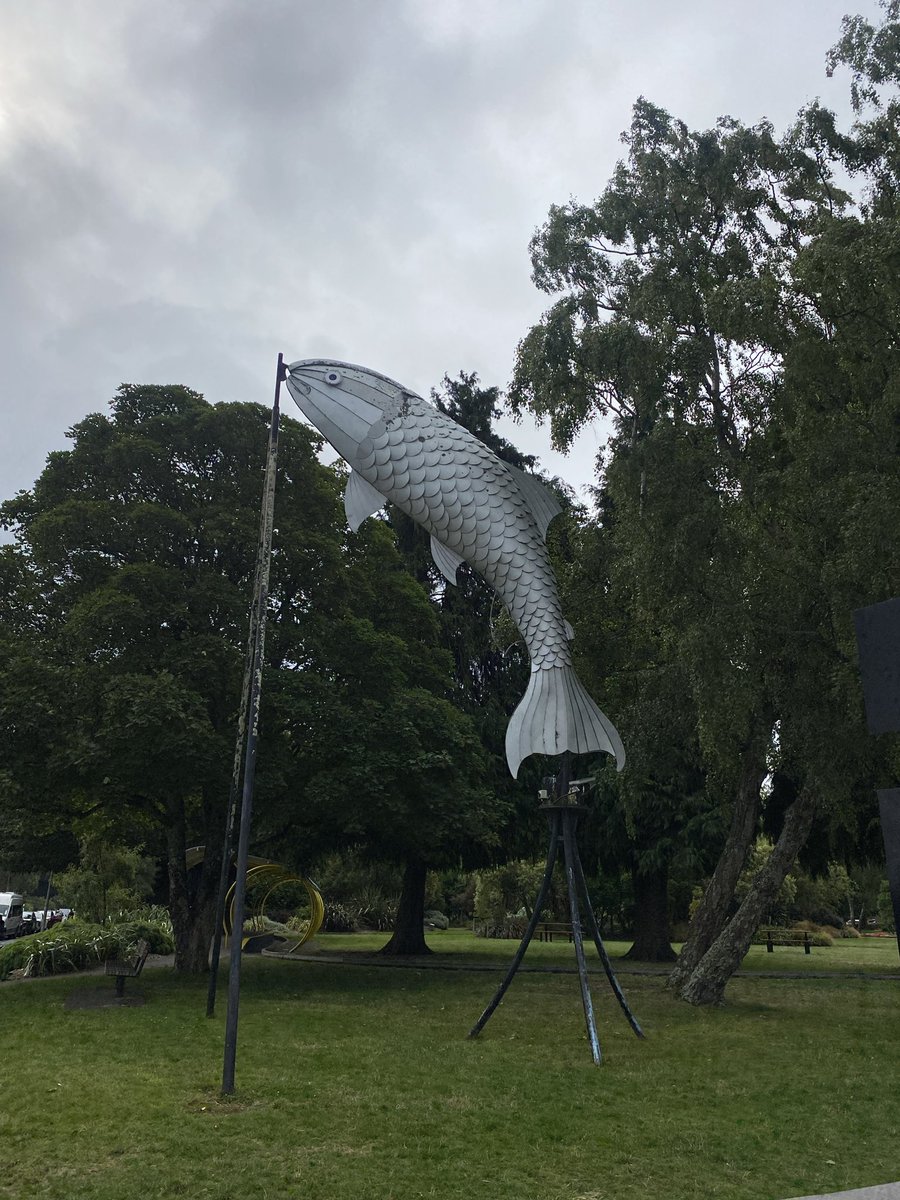 Shingo Matsui tweet media