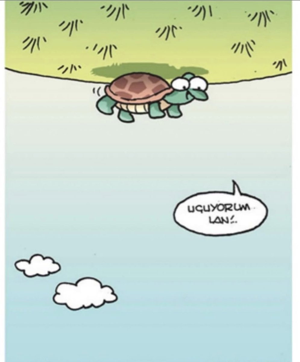 sandy_seashore_'s tweet image. Günaydın ☀️