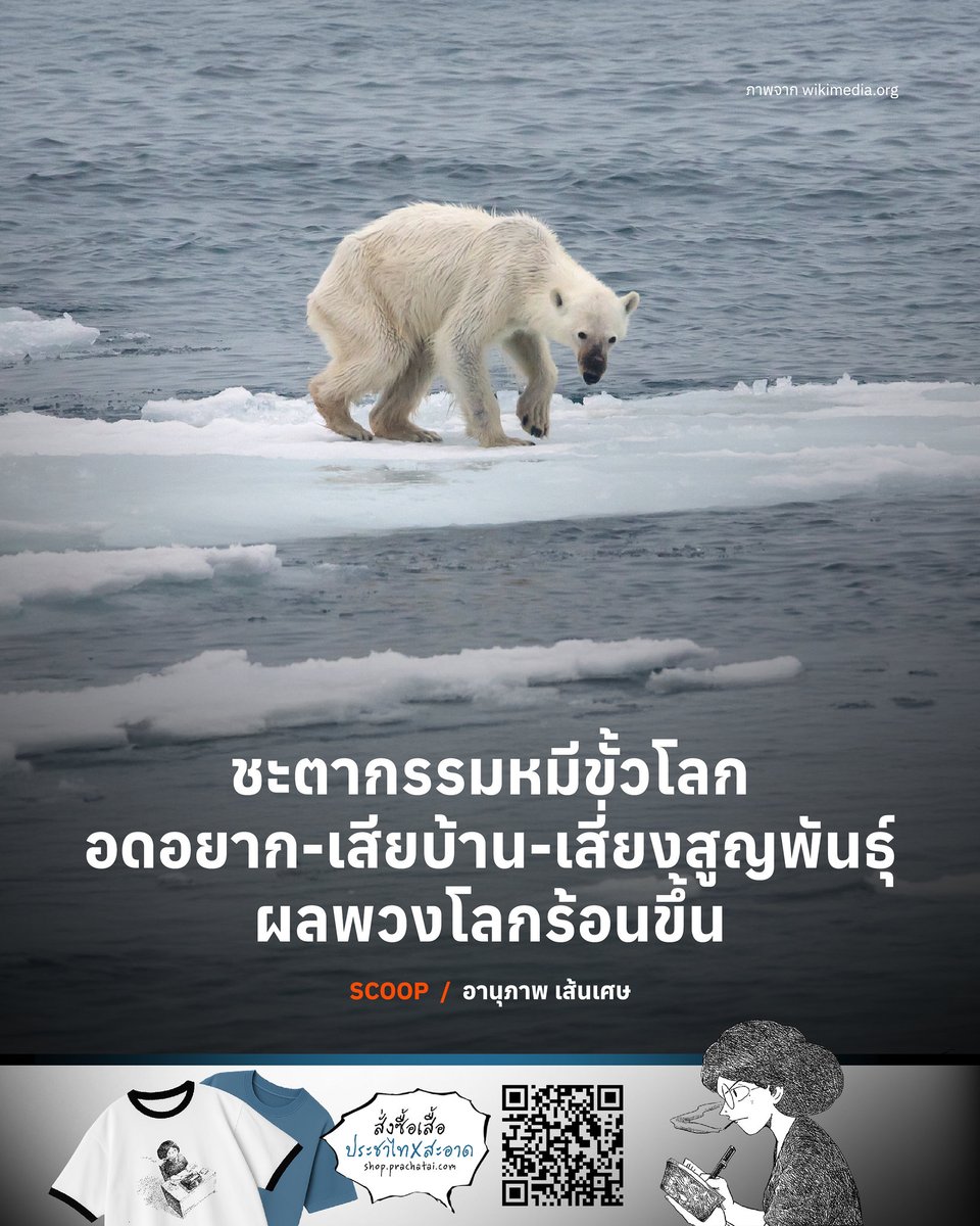 ‘ความร้อน ความหิวโหย ความตาย’ คือสิ่งที่หมีขั้วโลกกำลังเผชิญ
.
วันที่ 27 กุมภาพันธ์ของทุกปีถูกกำหนดให้เป็น ‘วันหมีขั้วโลกสากล’ โดยมีวัตถุประสงค์เพื่อสร้างความตระหนักรู้ถึงการอนุรักษ์หมีขั้วโลกที่กำลังเสี่ยงต่อการสูญพันธ์ุจากภาวะโลกร้อน น้ำแข็งละลาย