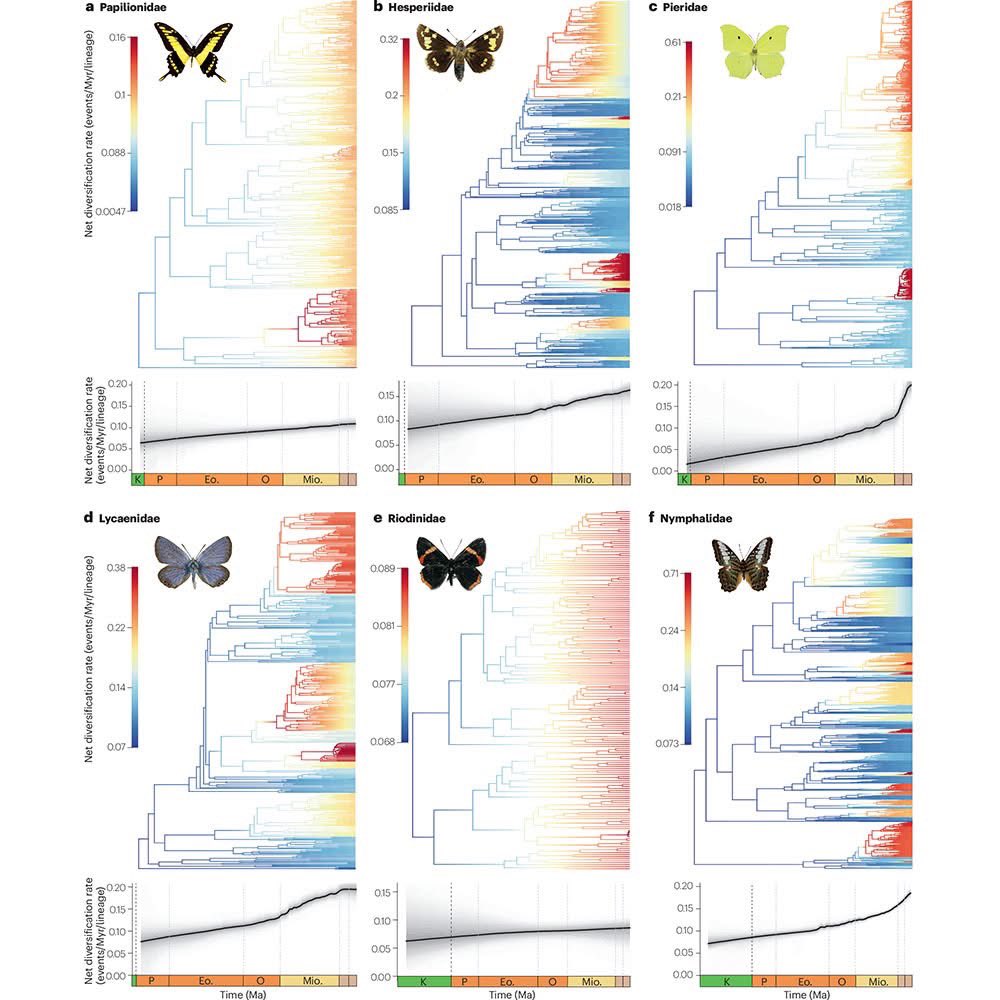 dnltbing's tweet photo. Evolution, genomics and conservation of butterflies and moths
[Wright et al 2026]
https://t.co/mktA2j9xdL https://t.co/l4885iLcTd