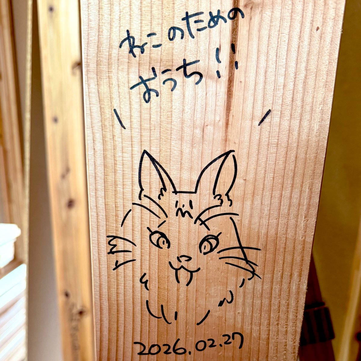 あくせ (@zxnoir) / Posts / X