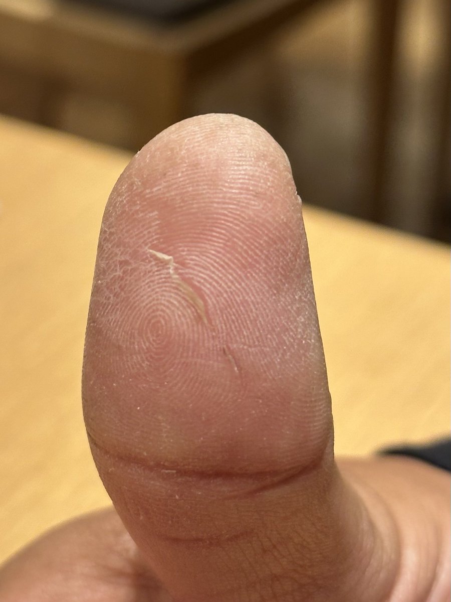 津軽海峡で使ってた鮪切るやつ ロープカッターって商品だったのかw