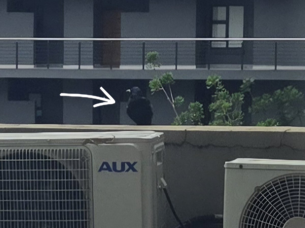 𝙷𝚎𝚗𝚍𝚛𝚒𝚔 𝚂𝚝𝚛𝚢𝚍𝚘𝚖 tweet media