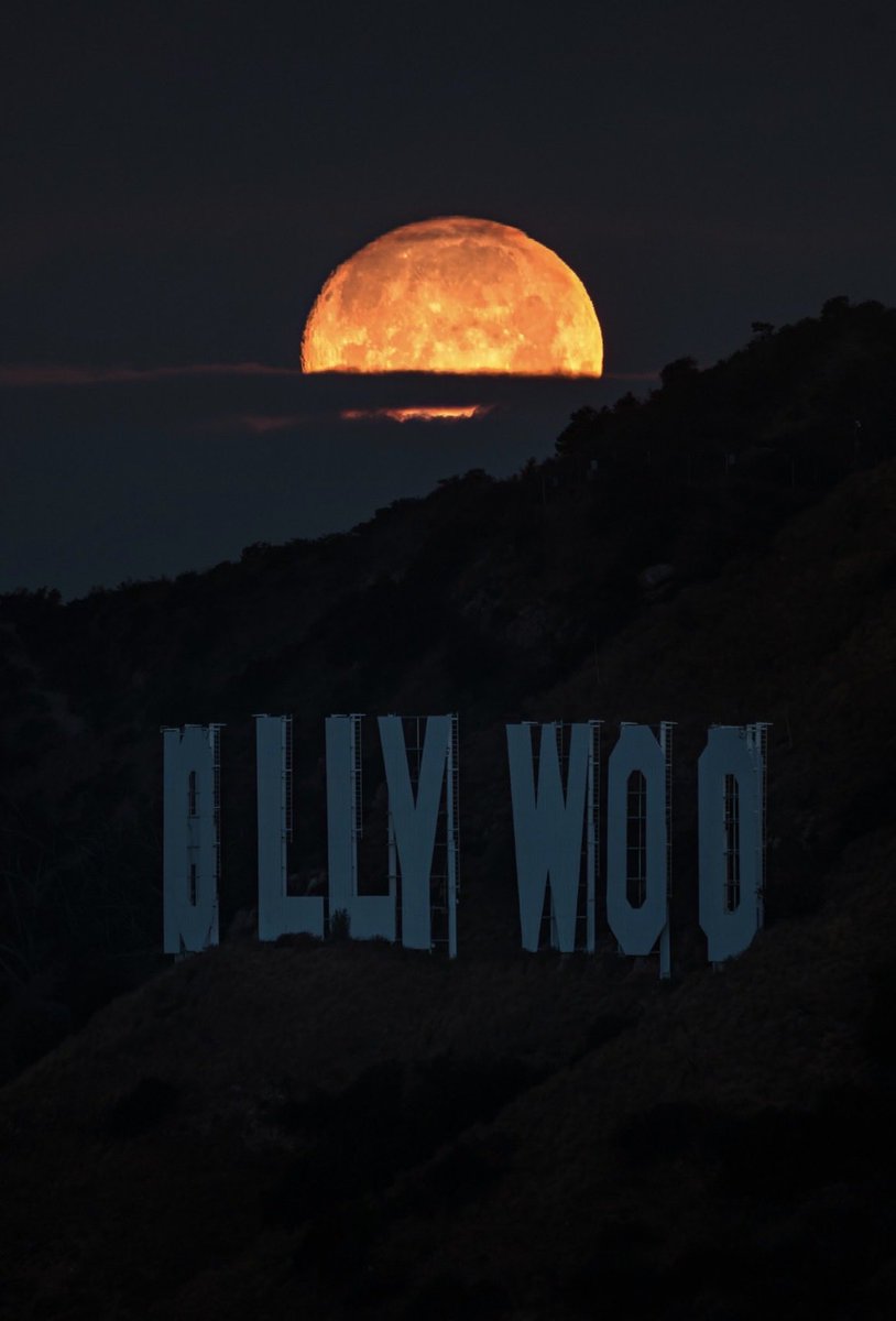 Brandon Yoshizawa tweet media