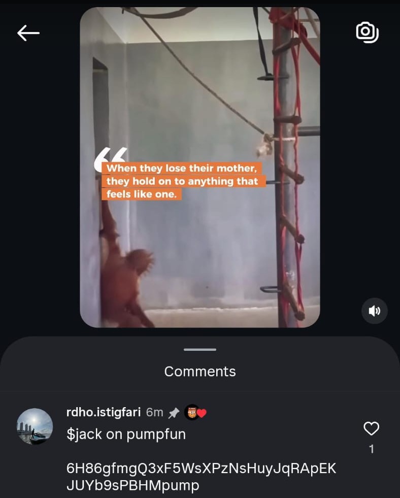 aura tweet media